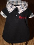 Толстовка поло Burberry (черный)