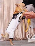 Костюм "Морячок"