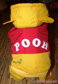 Комбинезон Pooh