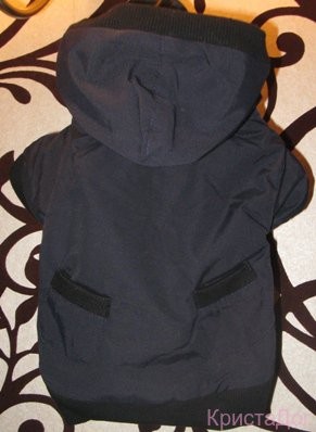 Куртка "Style" (синий) Куртка "Style" (синий)