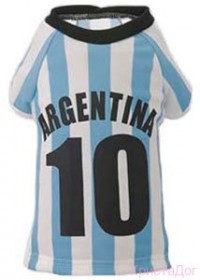 Футболка Argentina