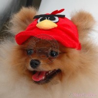 Шапочка Angry Birds