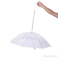 Зонт для собак