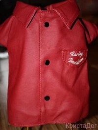 Куртка Harley Davidson (бордо) (1)
