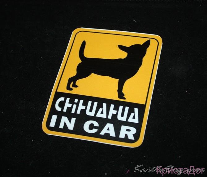 Наклейка на авто чихуахуа